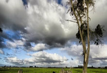 KAIYUN全明星赛关键时刻走向成谜，萨克拉门托国王防线松动，话题不断，高层口径保持一致的简单介绍