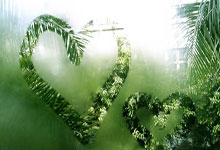 KAIYUN全明星赛关键时刻走向成谜，萨克拉门托国王防线松动，话题不断，高层口径保持一致的简单介绍